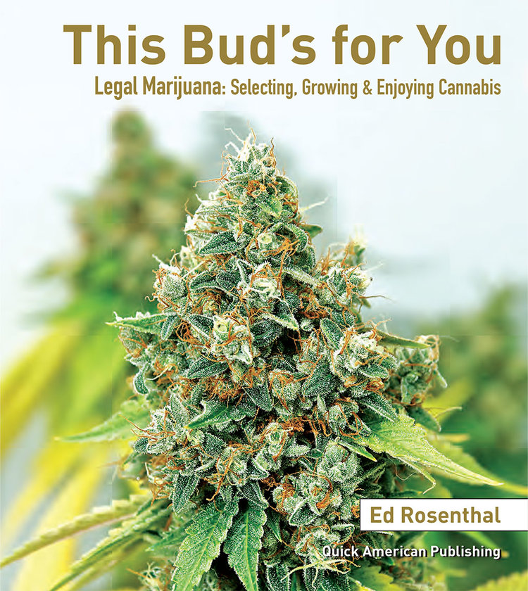 This Bud’s For You