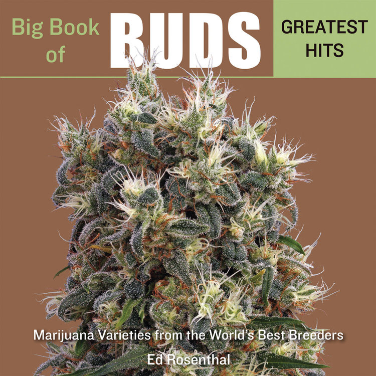 Big Book of Buds Greatest Hits