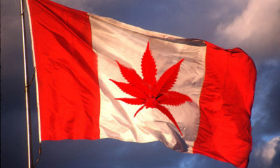 Canada Opens Doors to Big Marijuana