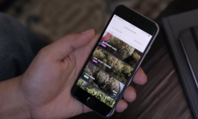 Meadow Embraces an Industry to Push Forward Tech in Cannabis Delivery