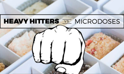 Edibles: Heavy Hitters vs. Micro-Doses