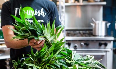 Pop-Up Shows Home Cooks How to Work With Cannabis